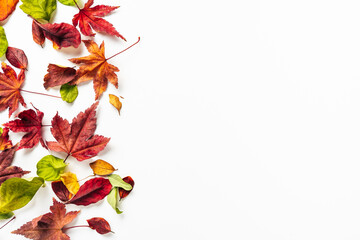 Top view of bright autumn leaves on the left rim of shot. White background
