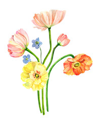 Hand painted watercolor floral bouquet. Iceland Poppies, eucalyptus and blue flowers illustration isolated on white background.