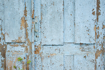 Wooden wall.