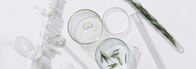 Banner Natural medicine, cosmetic research, bio science, organic skin care products.Serum glass bottle with pipette in petri dish on white background. Top view, flat lay. Concept skincare. Dermatology
