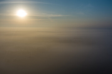 Aerial drone point of view above the fox in the Texas landscape