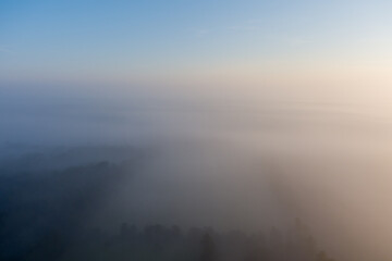 Aerial drone point of view above the fox in the Texas landscape