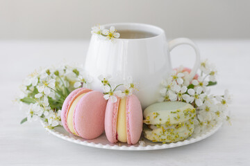 Traditional delicious French dessert - sweet homemade macarons on a vintage plate. Colourful tasty macaroons served on a white china with herbal tea. Decorated with fragile cherry tree flowers.