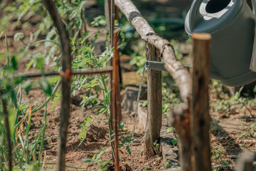 watering can watering the garden