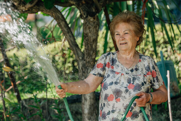 senior woman in summer watering the vegetable garden