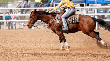Cowboy Competing In Barrel Race At Country Rodeo