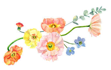 Hand painted watercolor floral bouquet. Iceland Poppies, eucalyptus and blue flowers illustration isolated on white background.