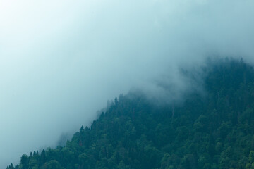 gray clouds over green mountains