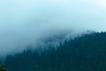 gray clouds over green mountains