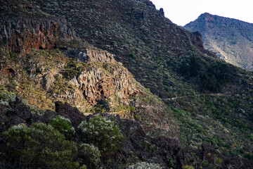 Fototapeta na wymiar rugged landscape and vegetation in Tenerife