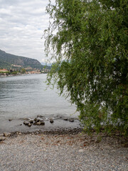 Landscape of lake como with beach and trees in lake como, italy	
