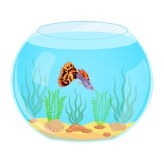 Aquarium guppies fish silhouette . Colorful cartoon aquarium fish icon for your design. Vector illustration