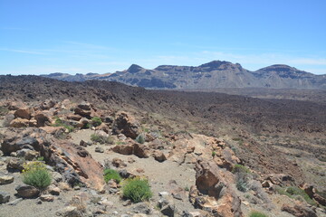Parque natural del Teide