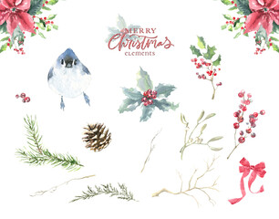 Fototapeta na wymiar Watercolor Woodland Christmas plants bird illustration, Cute Single Drawing isolated, Christmas decoration for greeting card, poster, invitation, baby shower Merry Christmas, New Year, holiday