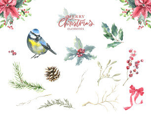 Watercolor Woodland Christmas plants bird illustration,  Cute Single Drawing isolated, Christmas decoration for greeting card, poster, invitation, baby shower Merry Christmas, New Year, holiday diy
