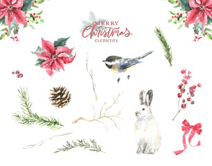 Fototapeta na wymiar Watercolor Woodland Christmas plants bird illustration, Cute Single Drawing isolated, Christmas decoration for greeting card, poster, invitation, baby shower Merry Christmas, New Year, holiday diy