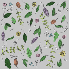 Botanical abstract plant and flower sketches