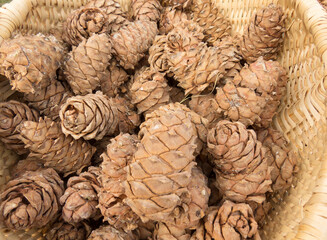 Fototapeta na wymiar Pine cones in a wooden basket close-up. Organic food, eco food farm shop. Skins, nuts - autumn agricultural background photo