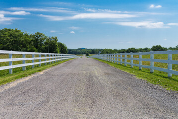 wide road in a field with a white fence. Summer sunny day, blue cloudy sky.