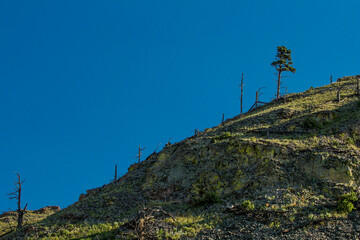 Fototapeta premium Bear Butte State Park in Summer, South Dakota