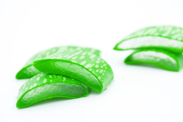 fresh aloe vera on white background
