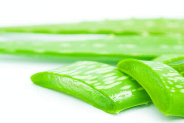 fresh aloe vera on white background
