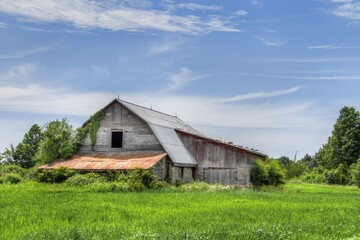 Fototapeta na wymiar A large barn in a field of green grass