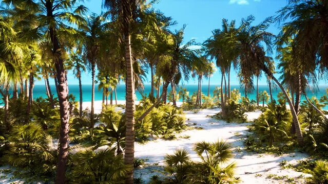 Paradise landscape of tropical beach with calm ocean waves and palm trees