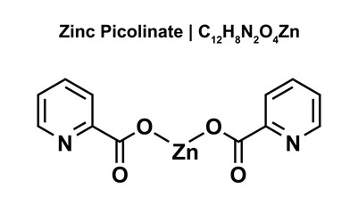 Zinc Picolinate (C12H8N2O4Zn) Chemical Structure. Vector Illustration.