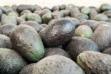hass avocados in a bins close up