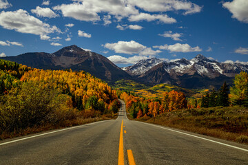 Peak Fall color along San Juan Skyway Scenic Byway near Telluride Colorado