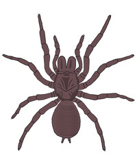 SPIDER TSHIRT DESIGN
Welcome to my Design,
I am a specialized t-shirt Designer.

Description : 
✔ 100% Copy Right Free
✔ Trending Follow T-shirt Design. 
✔ 300 dpi regulation Source file
✔ Easy to mod