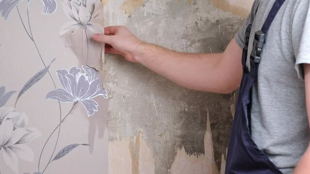 Removing old wallpaper with a spatula and a sprayer with water. A man removes old wallpaper in a room.
