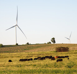 Rural wind turbines in US countryside