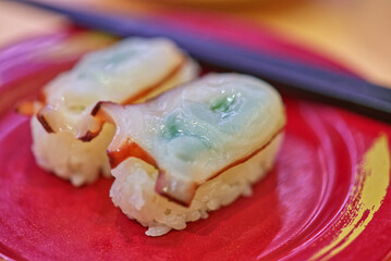 Fresh octopus sushi