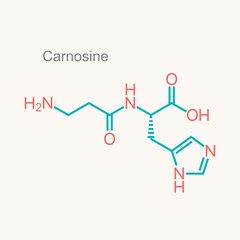 Carnosine or L-carnosine food supplement molecule. Skeletal formula.