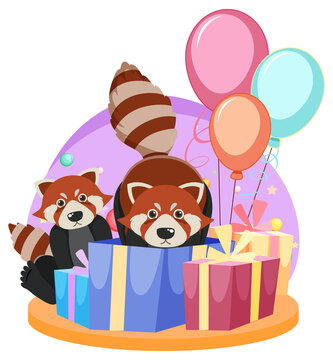 Two red pandas with gift boxes and balloons