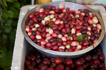 beans in a bowl
