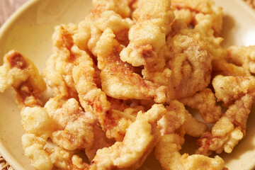 fried pork on a plate