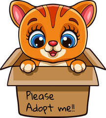 Cute cat cartoon in present gift box with text adopt me please
