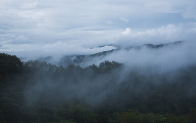 Landscape image of greenery rainforest mountains and hills on foggy day