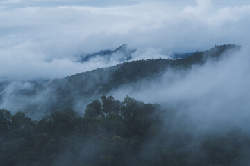 Naklejka na ściany i meble Landscape image of greenery rainforest mountains and hills on foggy day