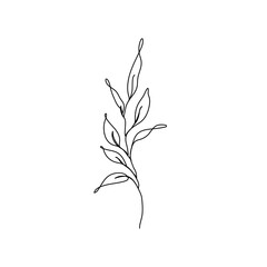 Leaves Branch Vector Hand Drawn Line Art Drawing. Minimalist Trendy Contemporary Floral Design Perfect for Wall Art, Prints, Social Media, Posters, Invitations, Branding Design.