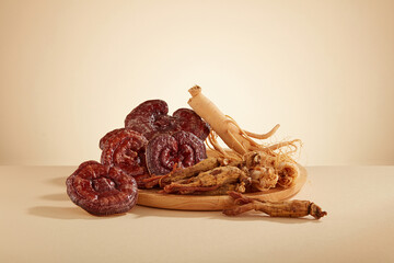 Front view of lingzhi mushroom and ginseng in brown background
