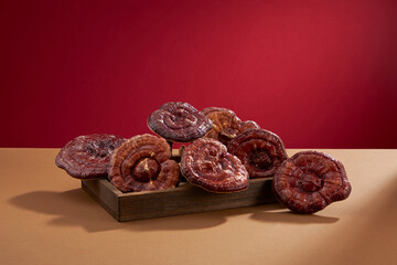 Front view of lingzhi mushroom in wooden tray and red background