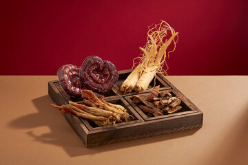 Front view of lingzhi mushroom and ginseng in wooden tray in red background