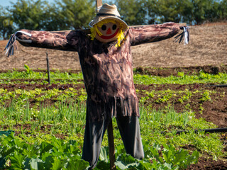 SCARECROW