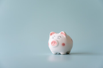 Cute and chubby piggy bank on light blue background. Stand alone piggy bank savings concept.