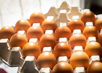 Obraz premium An image selected focus close-up fresh chicken egg in the paper panel box is food for the organic farm for sale in the market.
