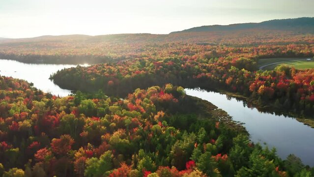 Fall colors forest waterfront at sunrise or sunset. Sun light reflection in still water 4K. Cinematic Lake in Maine state on north board between United States of America and Canada. Exceptional Autumn